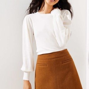Ann Taylor wool skirt